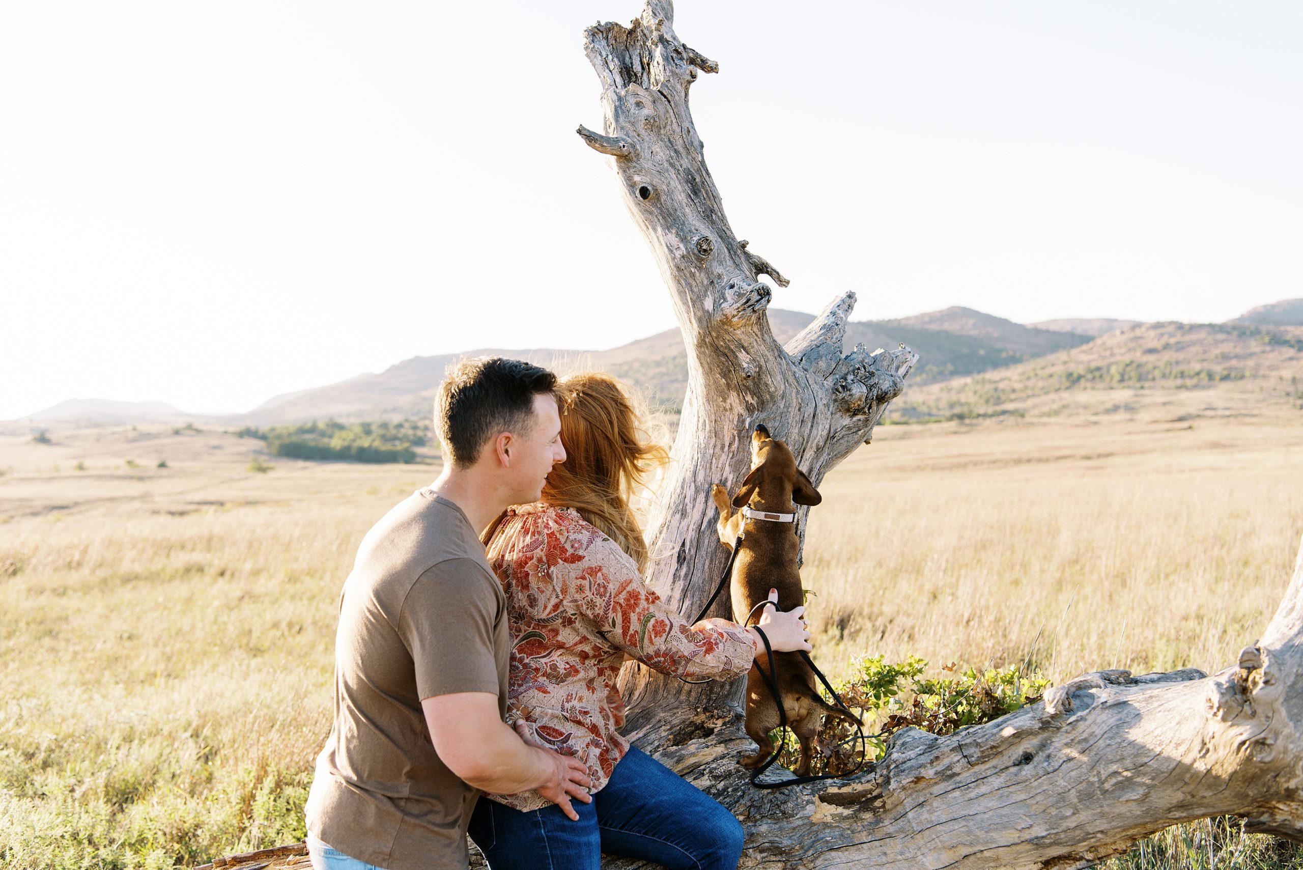 couple playing with dog on tree